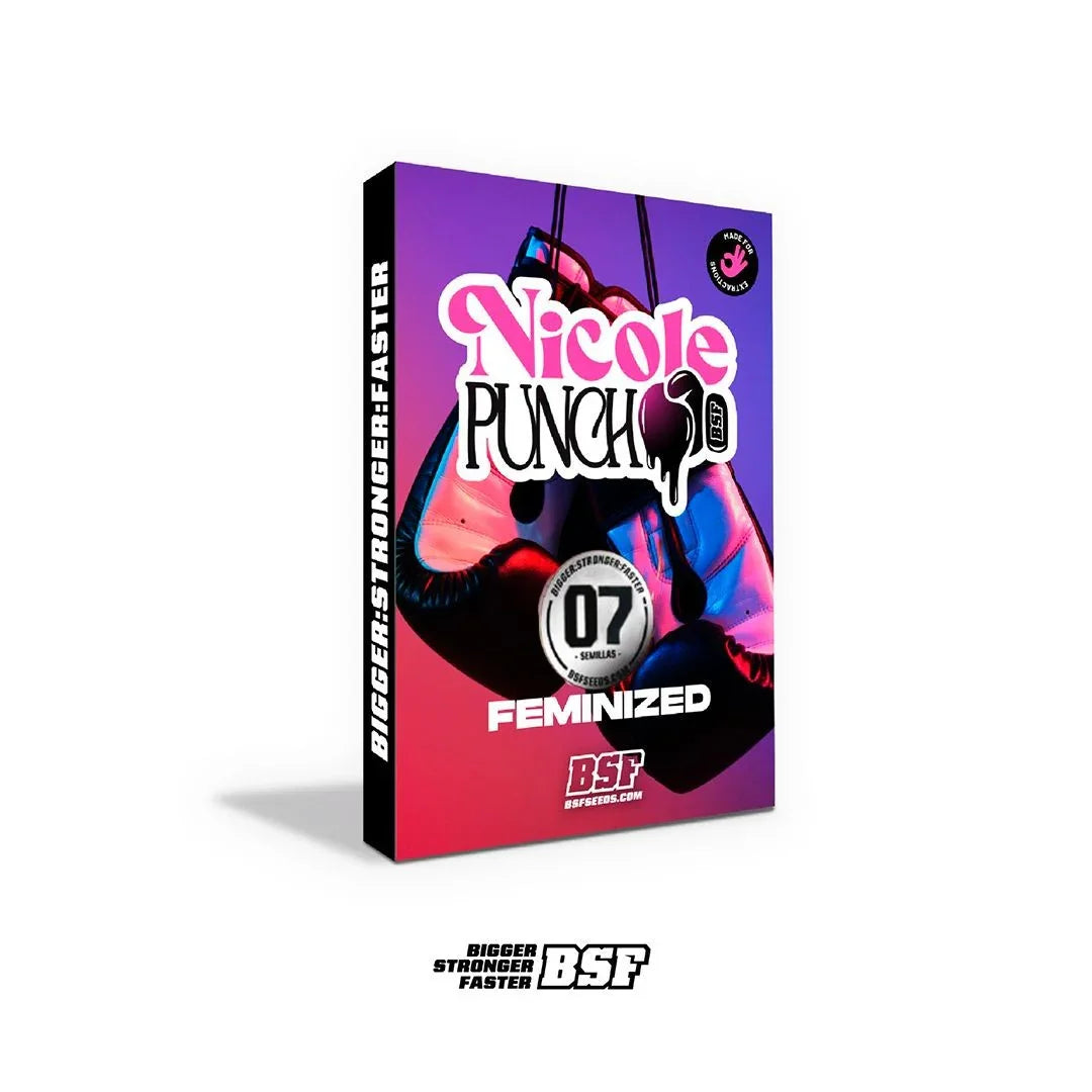 Nicole Punch 7 Semillas Bsf Seeds