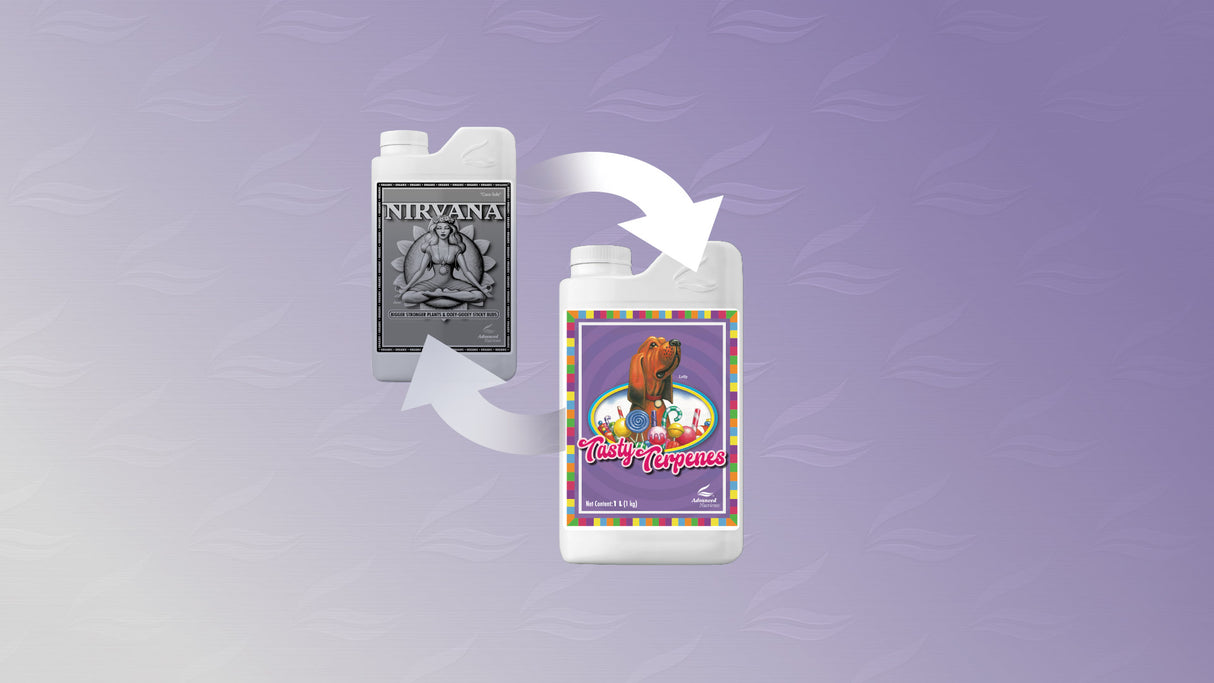 Fertilizante Tasty Terpenes 500 cc