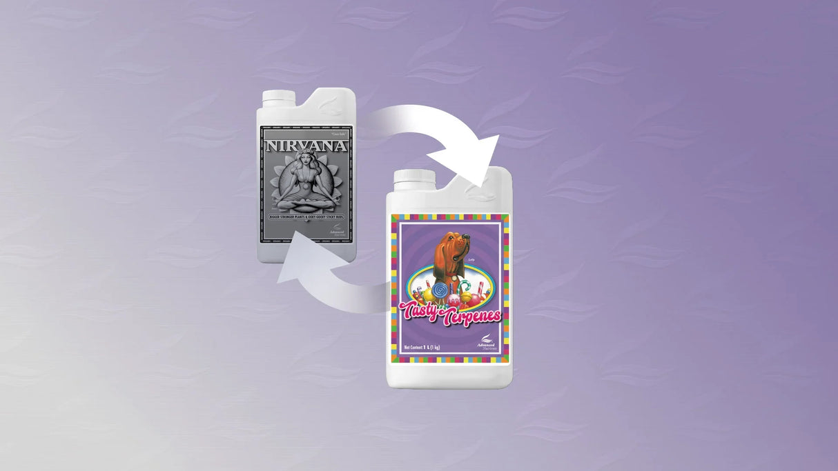 Fertilizante Tasty Terpenes 500 cc