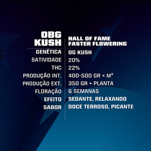 OBG Kush Fast Version 7 Semillas BSF Seeds