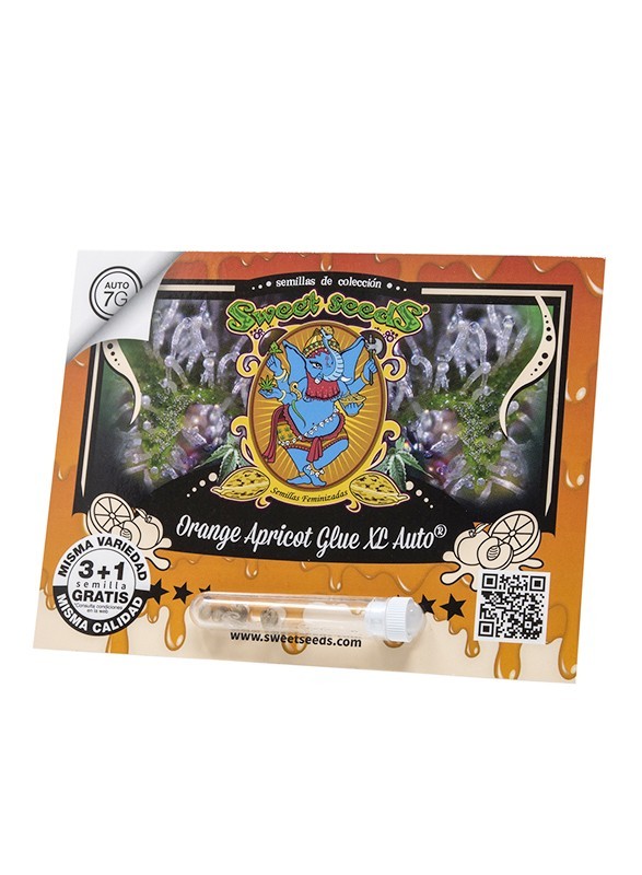 Orange Apricot Glue XL Auto 3+1 Semillas Sweet Seeds