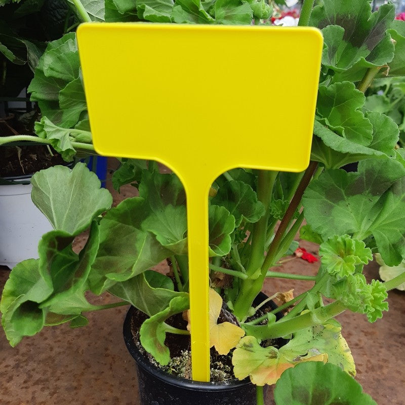 Pinchos Distintivos para plantas 14x6 cms