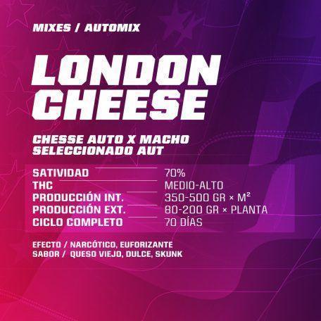 Ficha de variedad de semillas London Cheese con datos de satividad, THC y producción.