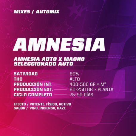 Ficha de variedad Amnesia Automix, destaca sativa, ciclo de cultivo, efectos y sabor en fondo rosado.