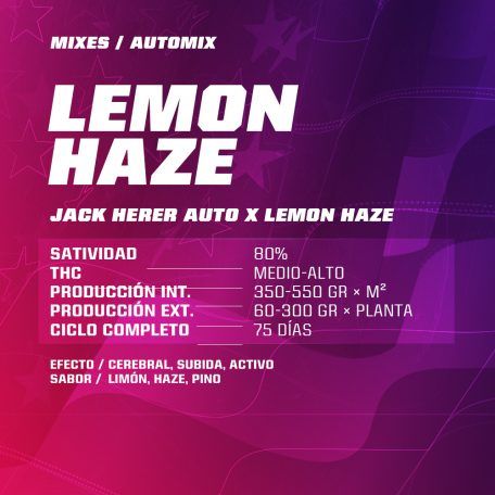 Psycho Xxl Automix 12 Semillas Bsf Seeds