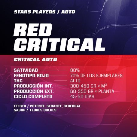 Red Critical Auto 4 Semillas Bsf Seeds