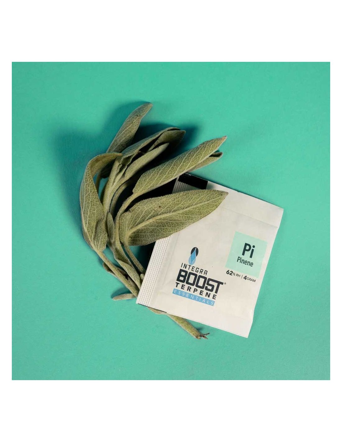 Regulador de humedad Con Terpeno PINENE 62% 4gr Integra Boost