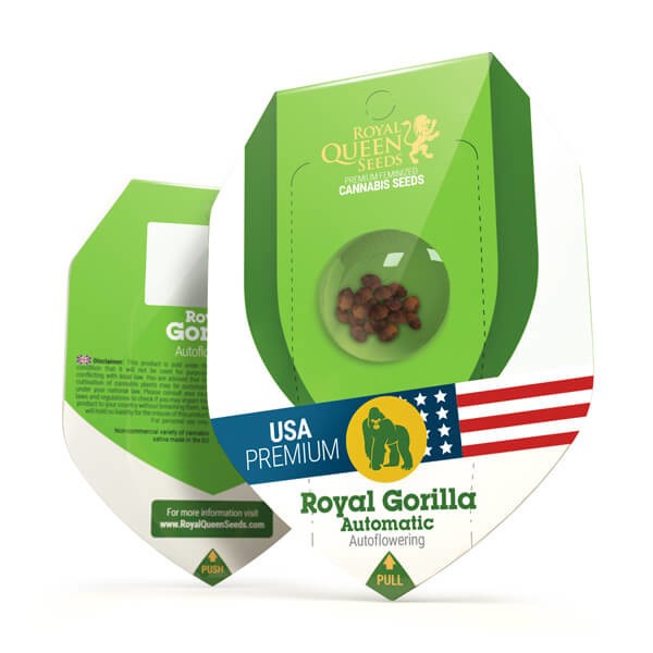 Royal Gorilla Auto 3 Semilla RQS