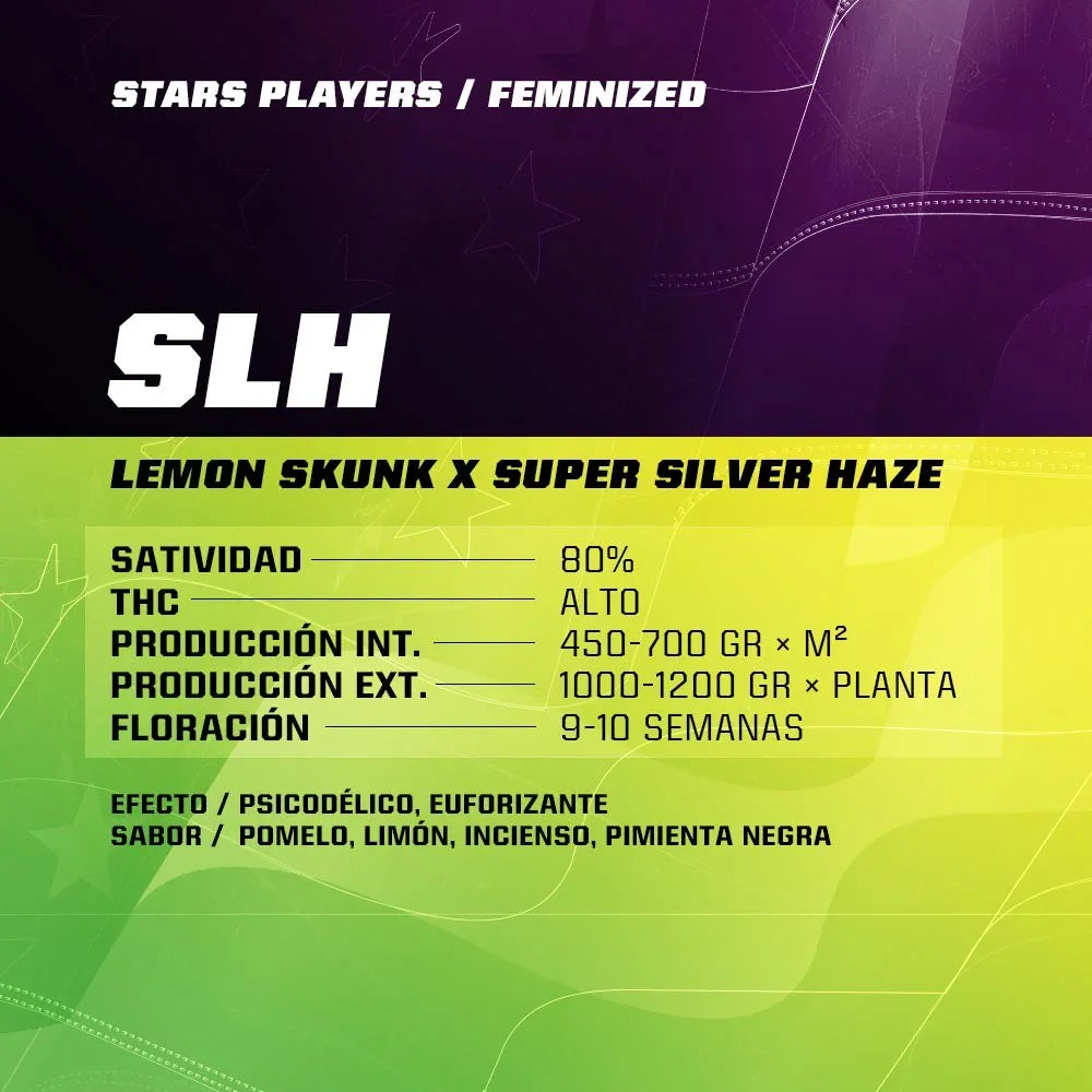 Ficha de semillas feminizadas SLH: Lemon Skunk x Super Silver Haze, datos de producción y sabor.