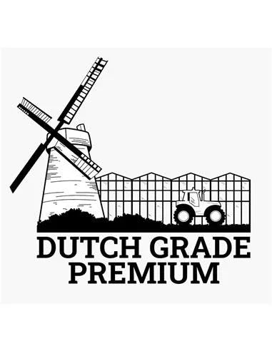 Sustrato Dutch Grade Premiun - Light Mix 50 Litros