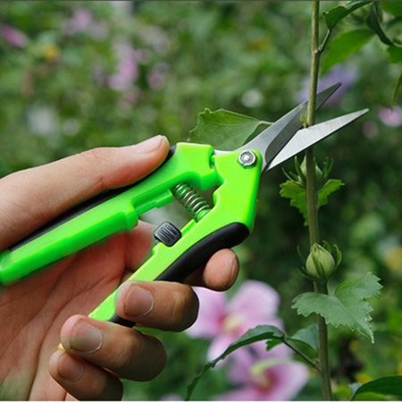 Tijera Podadora Cuchillas Curvas