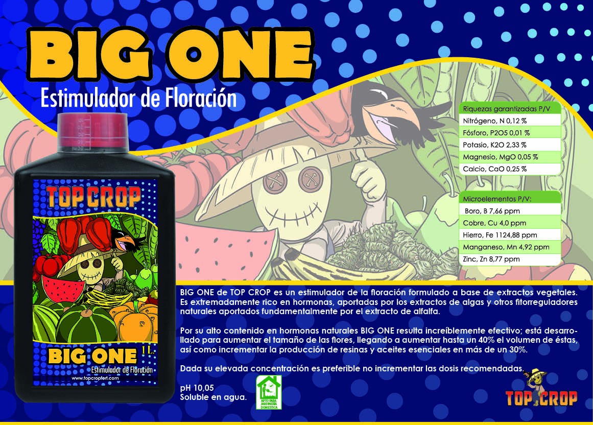 Fertilizante Big One 250Ml