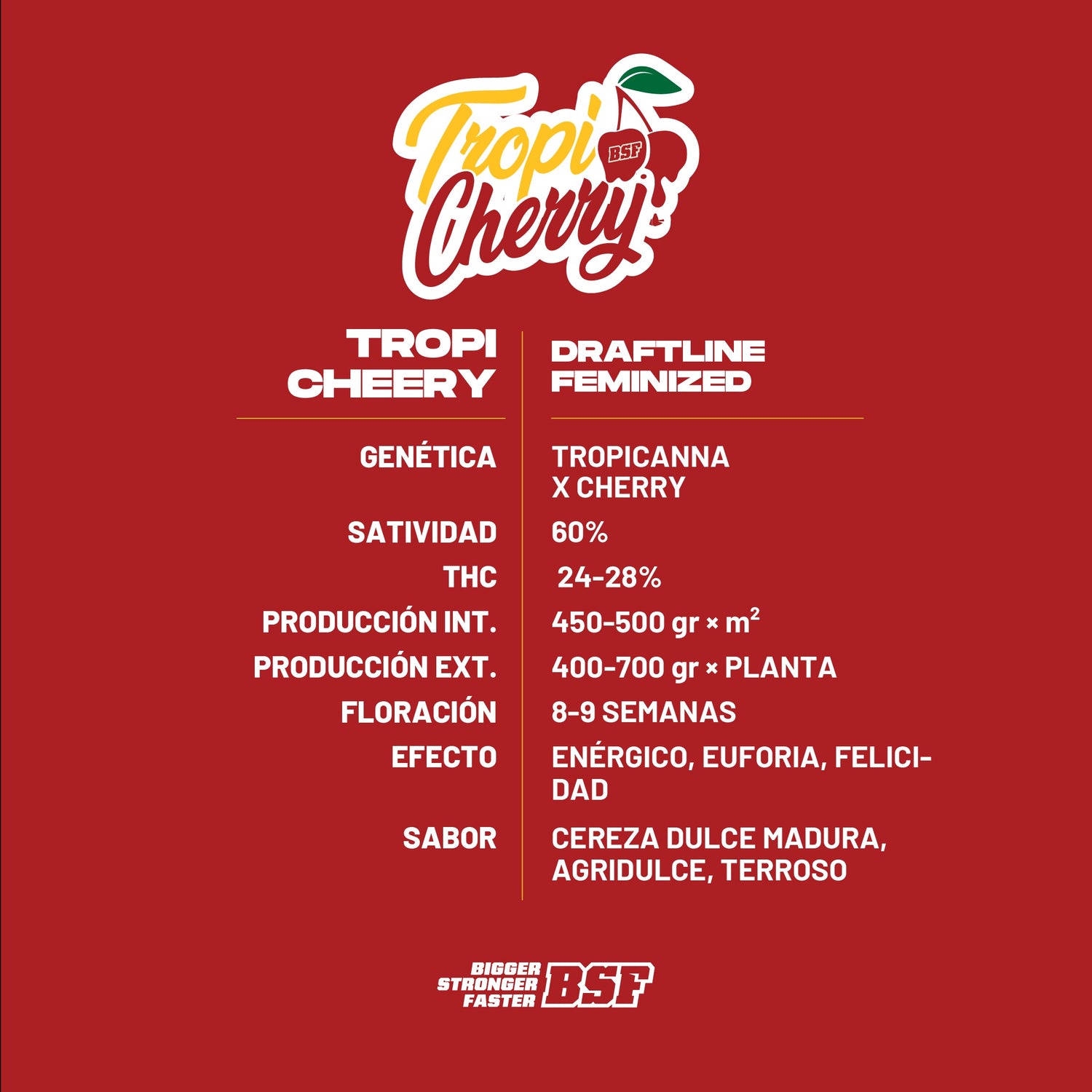 TropiCherry 12 Semillas Bsf Seeds