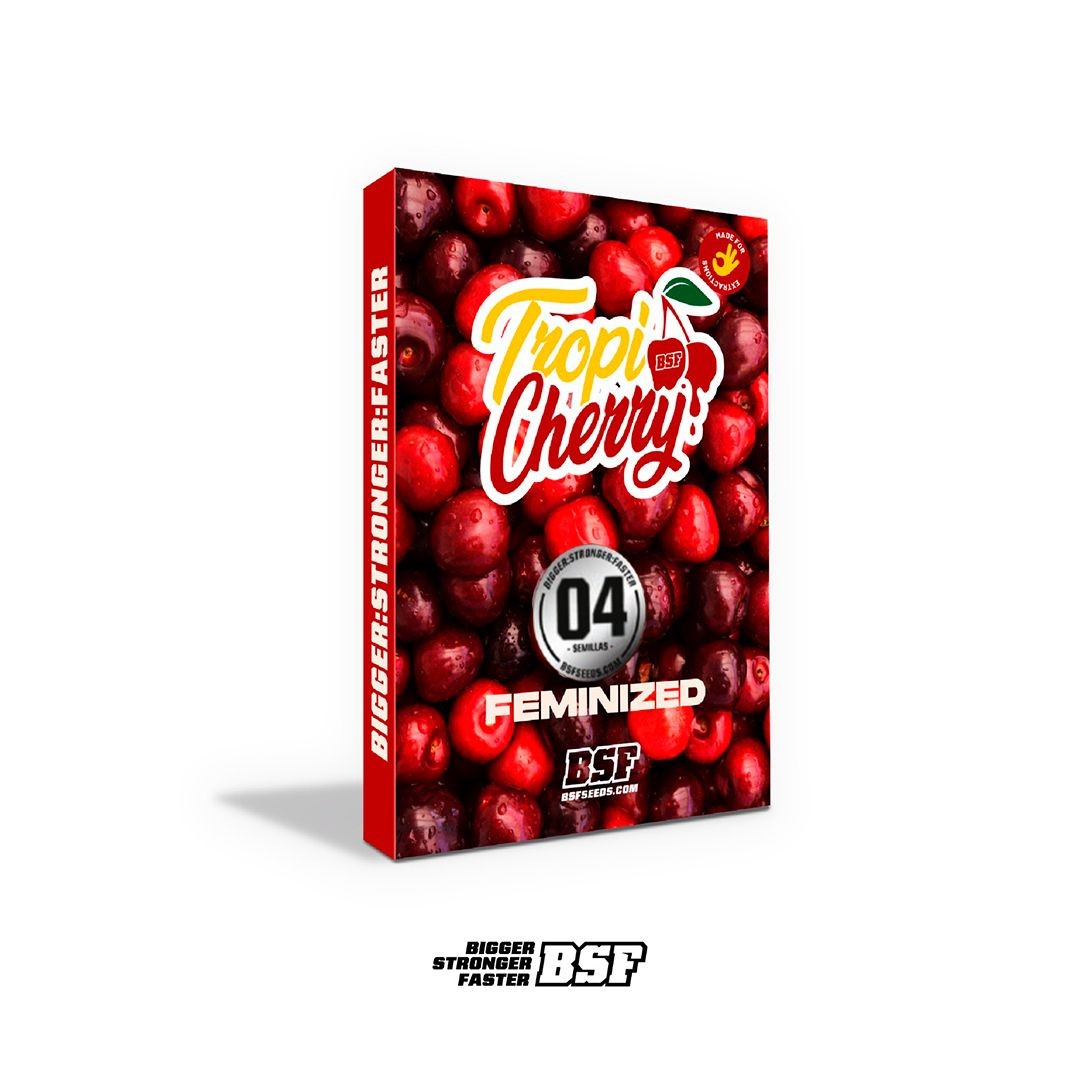 TropiCherry 4 Semillas Bsf Seeds