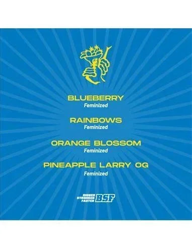 Tutti Frutti Feminized Mix 4 Semillas BSF Seeds