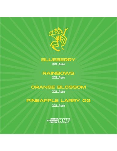 Tutti Frutti Xxl Automix 12 Semillas BSF Seeds