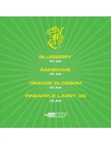 Tutti Frutti Xxl Automix 12 Semillas BSF Seeds