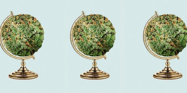La Marihuana está cambiando al mundo; te mostramos cómo.