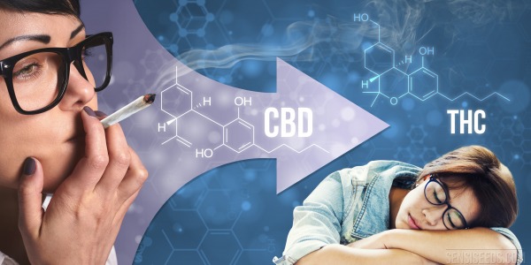 Efectos del CBD y el THC