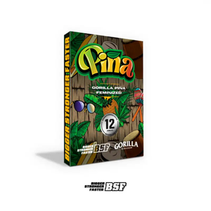 Gorilla Piña GK 12 Semillas BSF Seeds