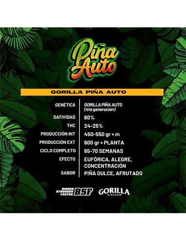 Gorilla Piña Auto GK 4 Semillas BSF Seeds
