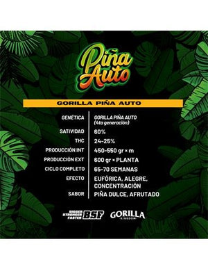 Gorilla Piña Auto GK 4 Semillas BSF Seeds