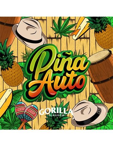 Gorilla Piña Auto GK 4 Semillas BSF Seeds
