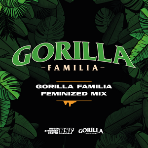 Gorilla Familia Feminizada Mix - BSF Seeds