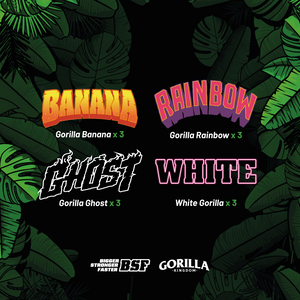 Gorilla Familia Feminizada Mix - BSF Seeds #2