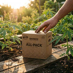 All Pack Outdoor 250 ml – Biobizz