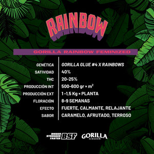 Gorilla Rainbow Feminizada - BSF Seeds #3