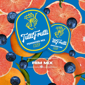 Tutti Frutti Feminizada Mix - BSF Seeds