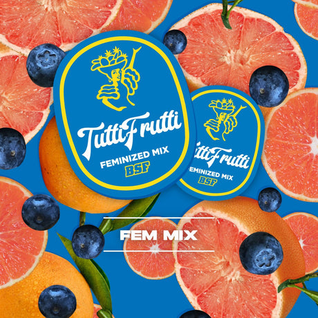 Tutti Frutti Feminizada Mix - BSF Seeds