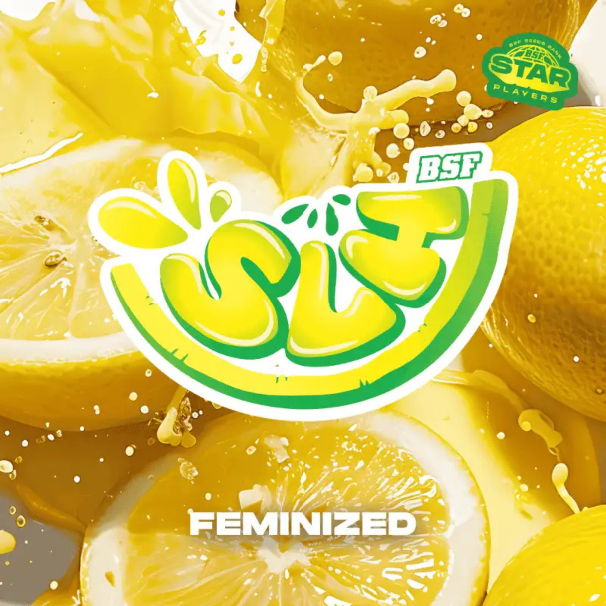 SLH 4 Semillas Bsf Seeds