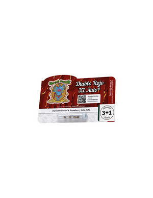 Diablo Rojo XL Auto 3+1 Semillas Sweet Seeds