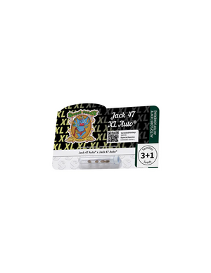 Jack 47 XL Auto 3+1 Semillas Sweet Seeds