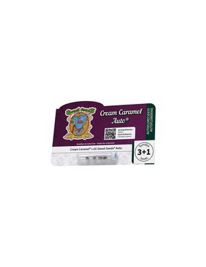 Cream Caramel Auto 3+1 Semillas Sweet Seeds