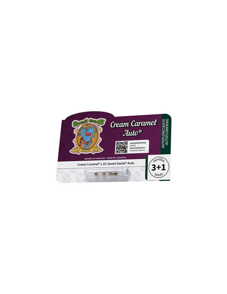 Cream Caramel Auto 3+1 Semillas Sweet Seeds