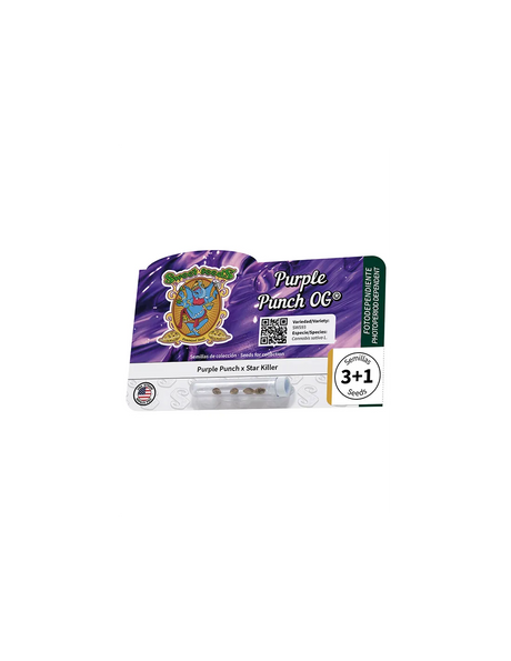 Purple Punch Og 3+1 Semillas Sweet Seeds