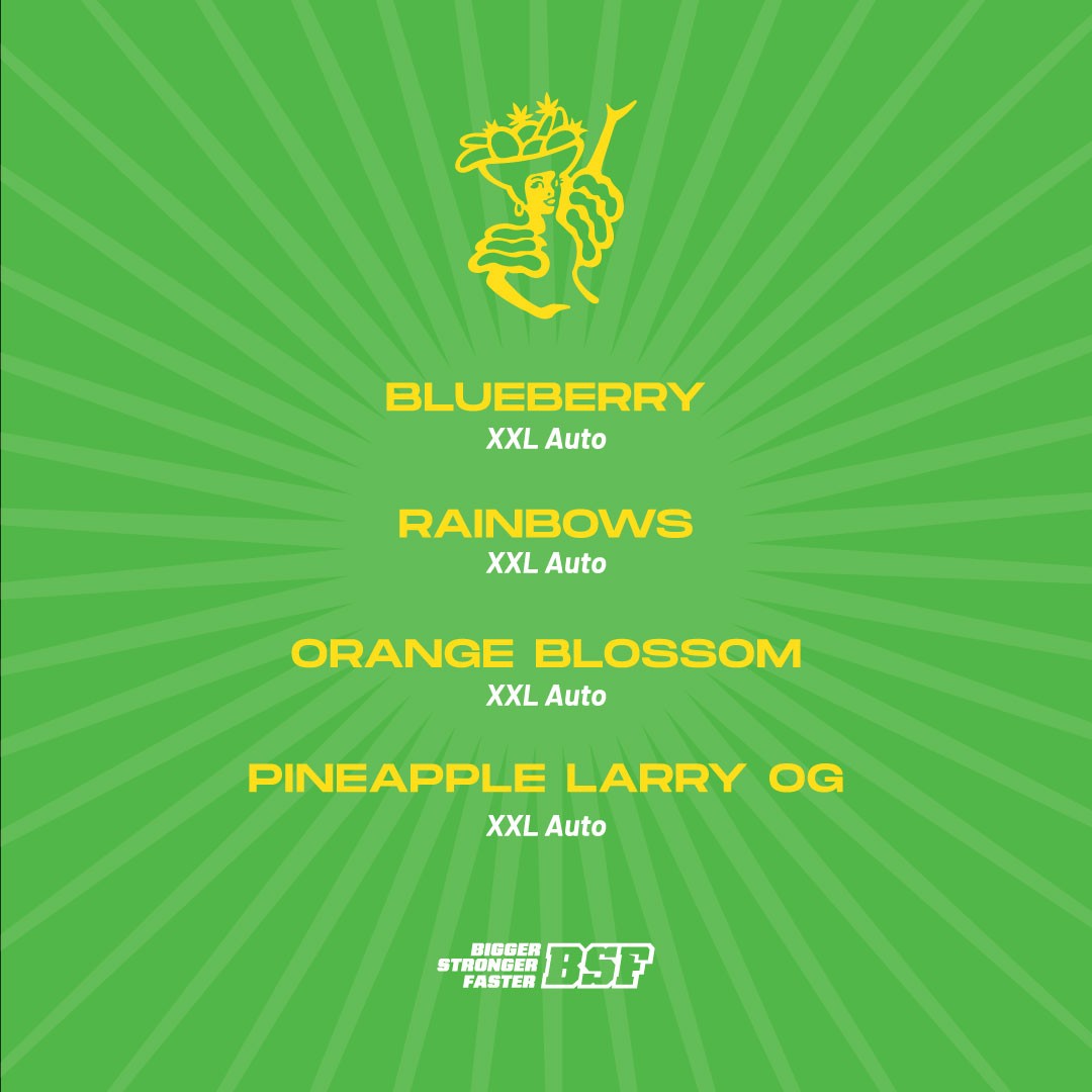 Tutti Frutti Xxl Automix 12 Semillas BSF Seeds – La Juana Growshop