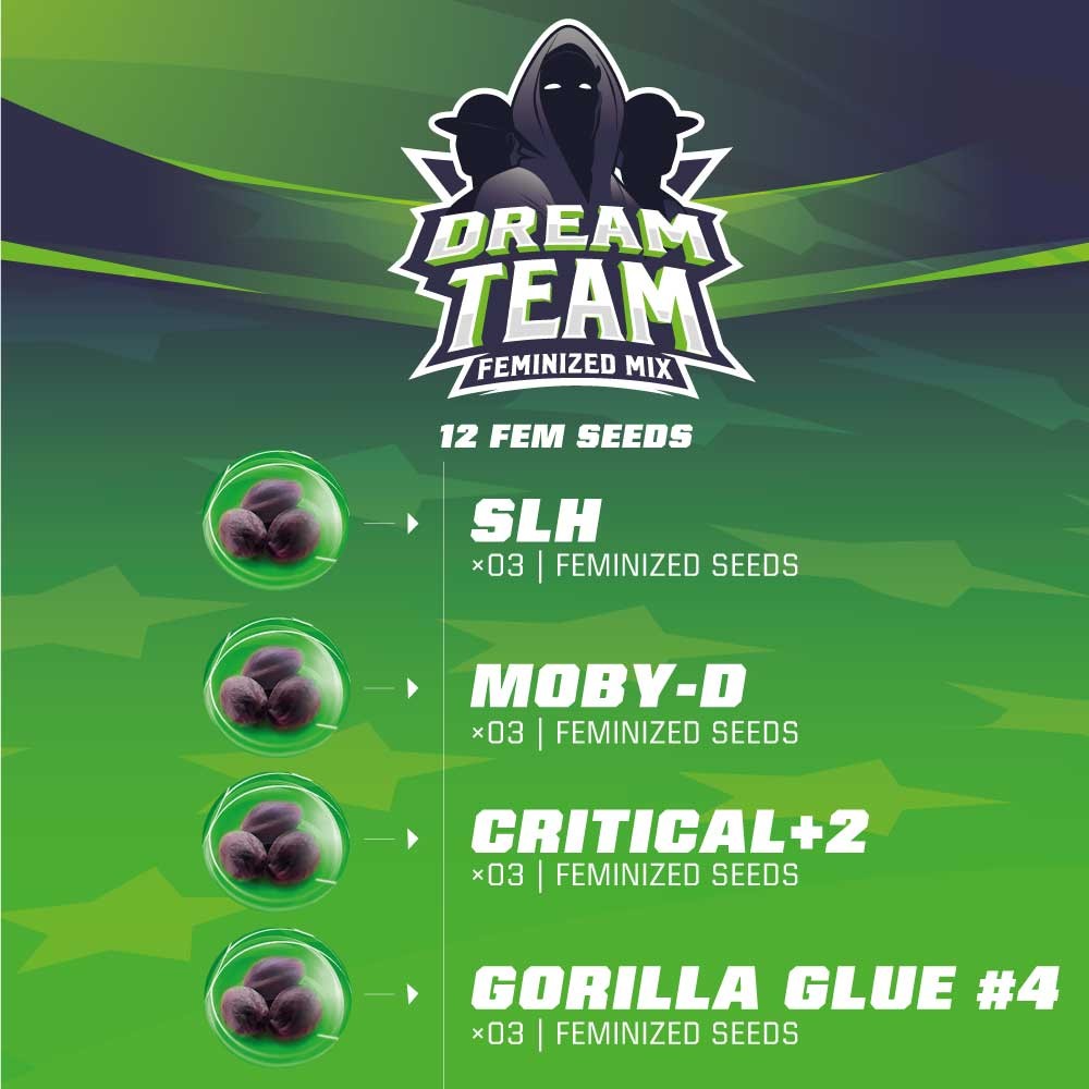 Dream Team Feminizada Mix - BSF Seeds #2
