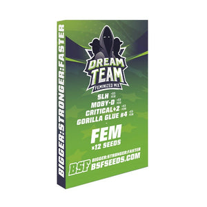 Dream Team Feminizada Mix - BSF Seeds #3