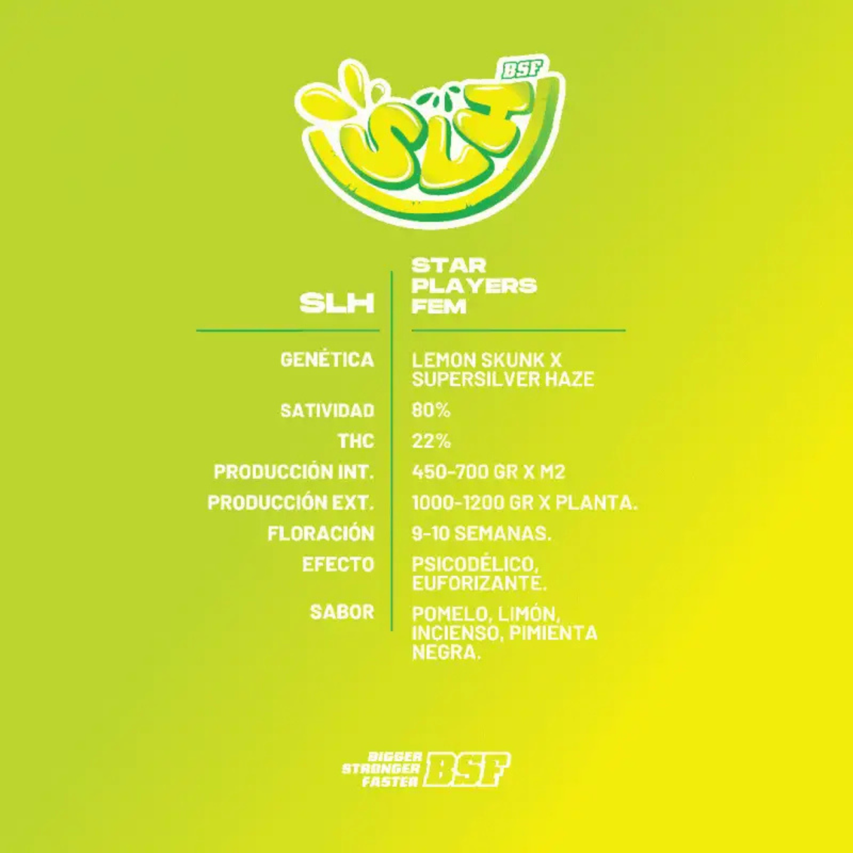SLH 4 Semillas Bsf Seeds