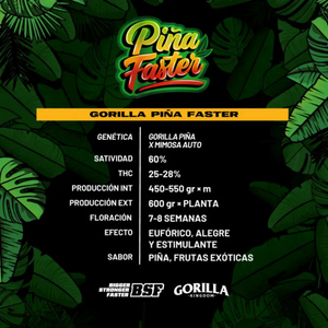 Gorilla Piña FF GK 2 Semillas BSF Seeds