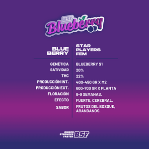 Blueberry Feminizada - BSF Seeds #3