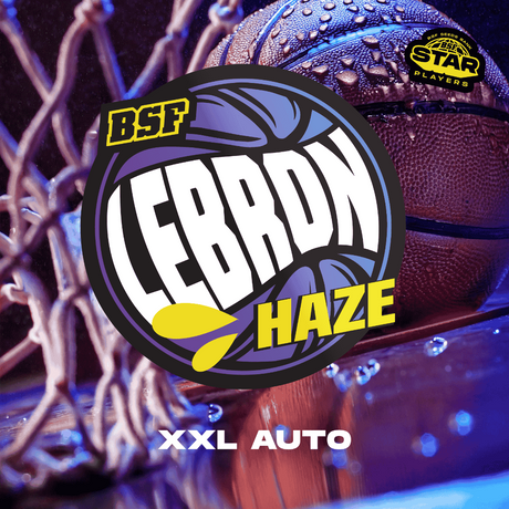 Lebron Haze XXL Auto - BSF Seeds #2
