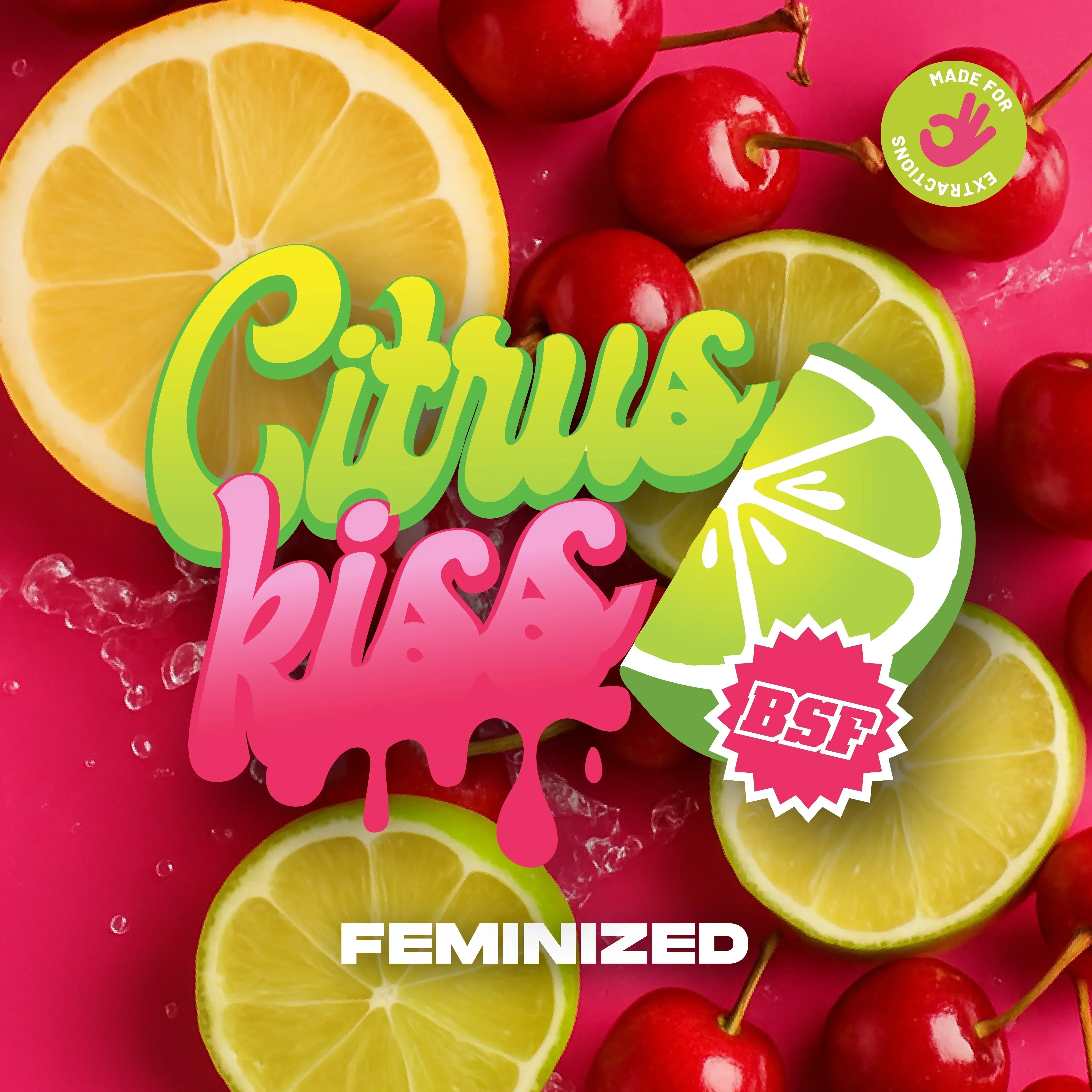 Citrus Kiss 12 Semillas Bsf Seeds – La Juana Growshop