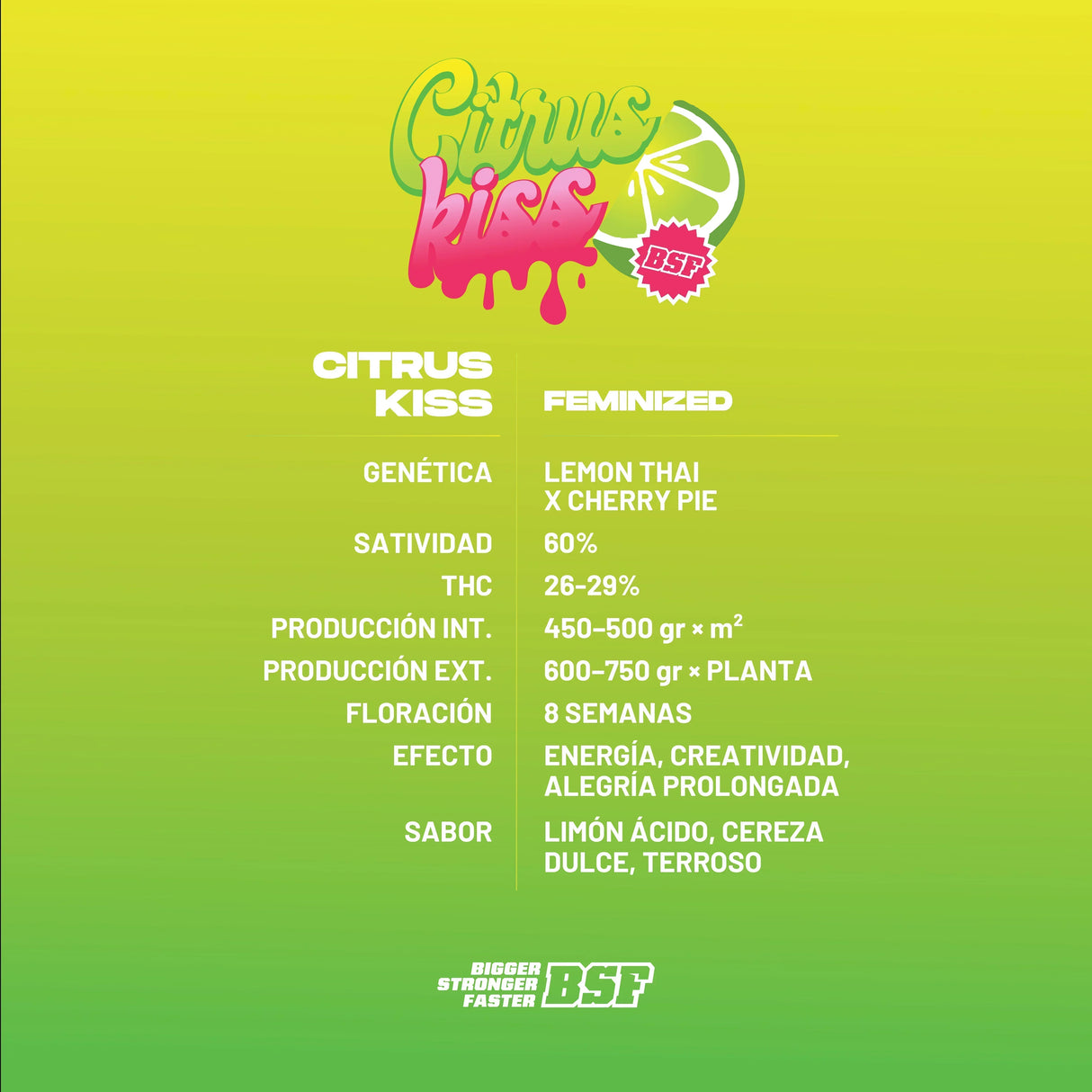 Citrus Kiss 12 Semillas Bsf Seeds