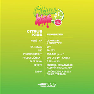 Citrus Kiss 12 Semillas Bsf Seeds