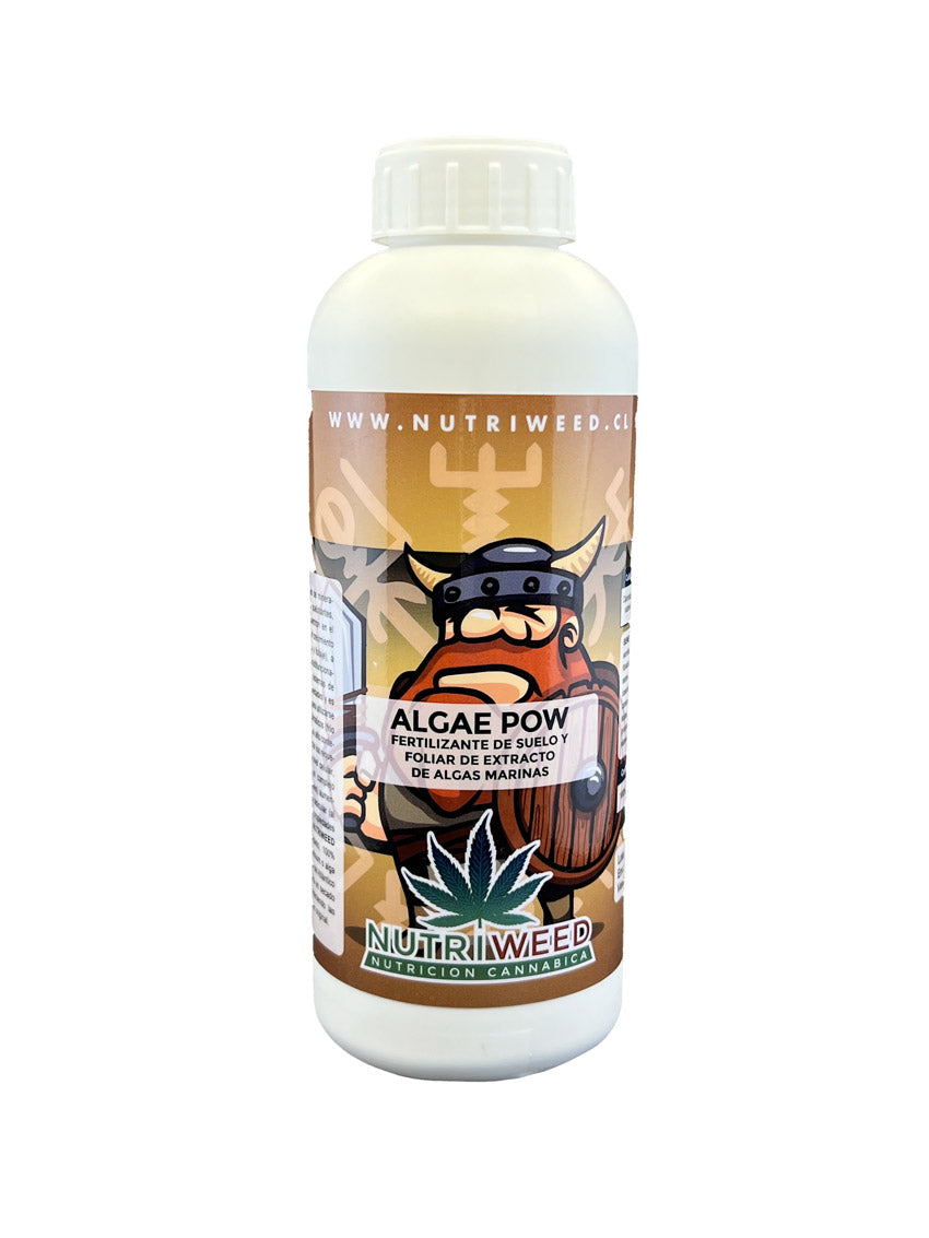 Algae Pow 100gr - Nutriweed